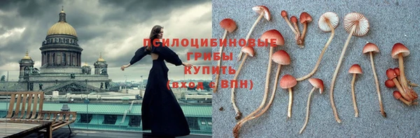 кристаллы Дмитриев