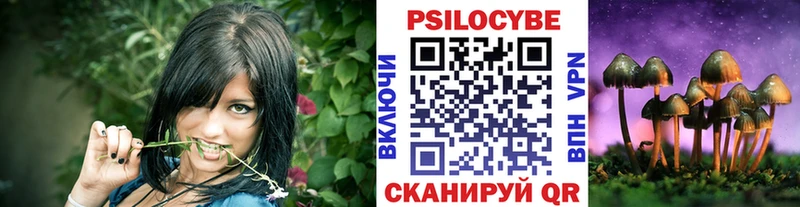 Купить  Сегежа  Псилоцибиновые грибы мицелий 