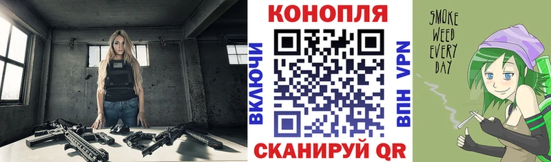 Купить Сегежа Бошки Шишки OG Kush